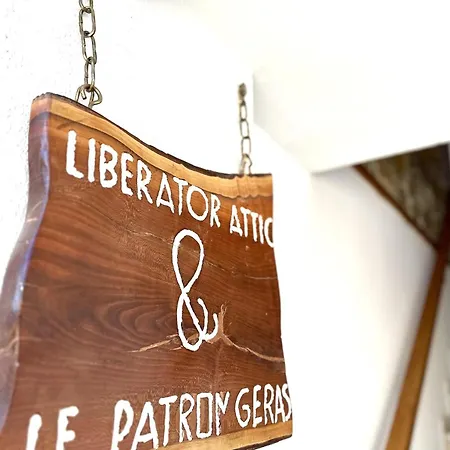 شقة Liberator Attic *